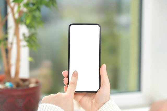 フォルスクラブが贈るねずみの冒険物語とその魅力